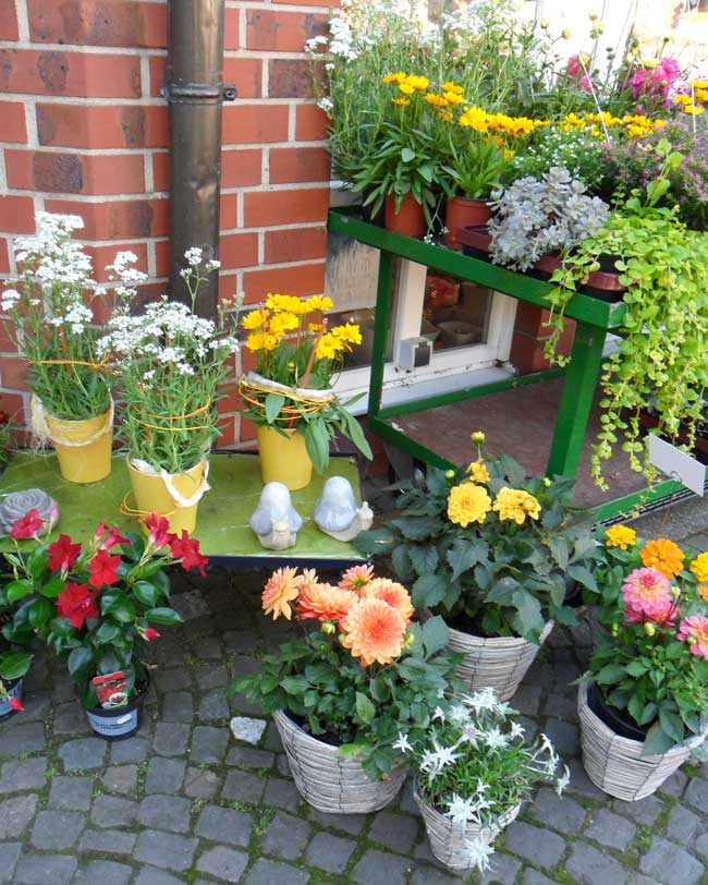 Blumen-Eck Große Jäger